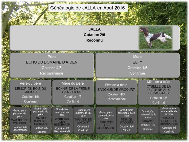 généalogie JALLA  Aout 2016